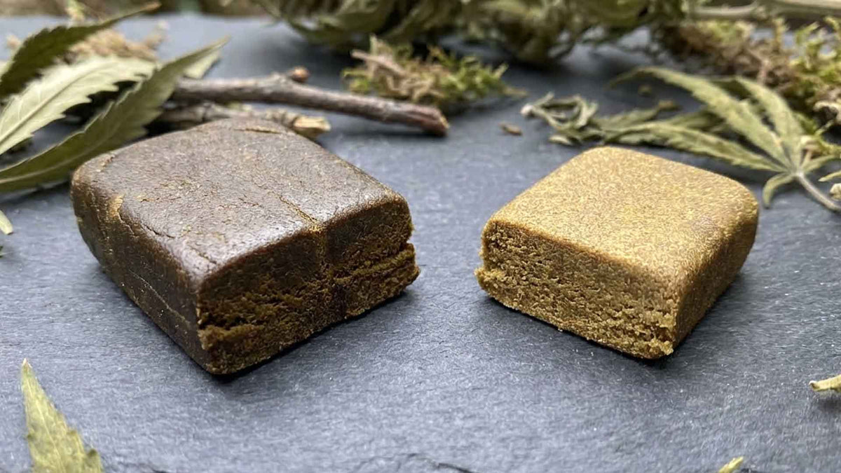 Dry Hash vs. Static Hash: Guide to Your Resin