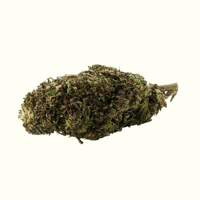 Nine Realms OG Kush T9HC cannabis flower bud close-up