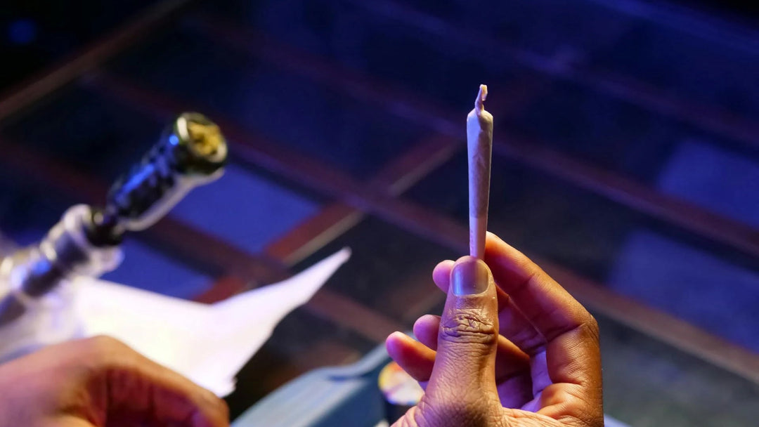 Best Cannabis Products for Beginners: Guide