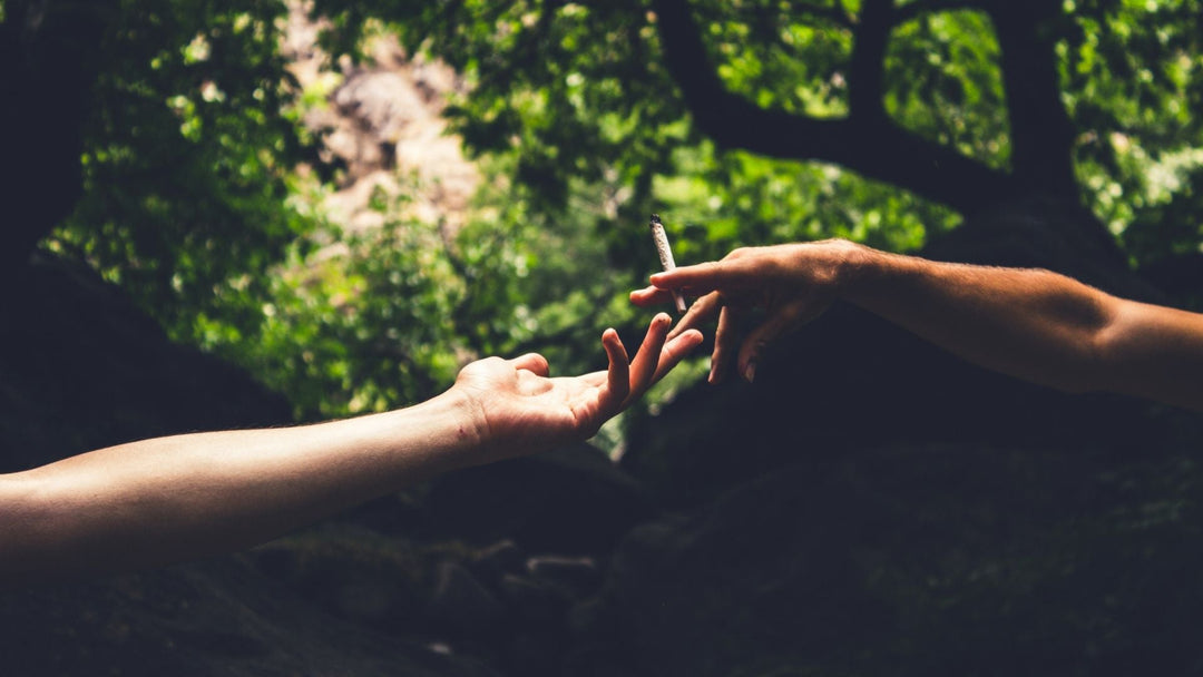 Cannabis Products: Guide
