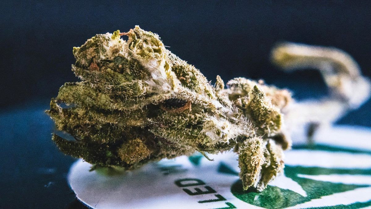 CBD flower by Nine Realms