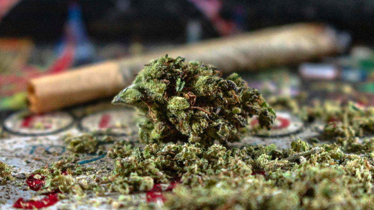 Delta 10 THC and Delta 9 THC Flower Nine Realms