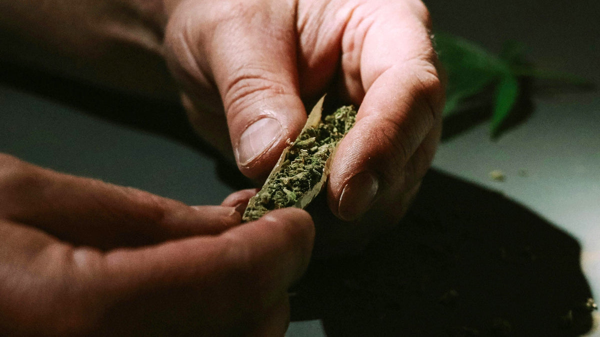 Nine Realms Customer Rolling a CBD Flower