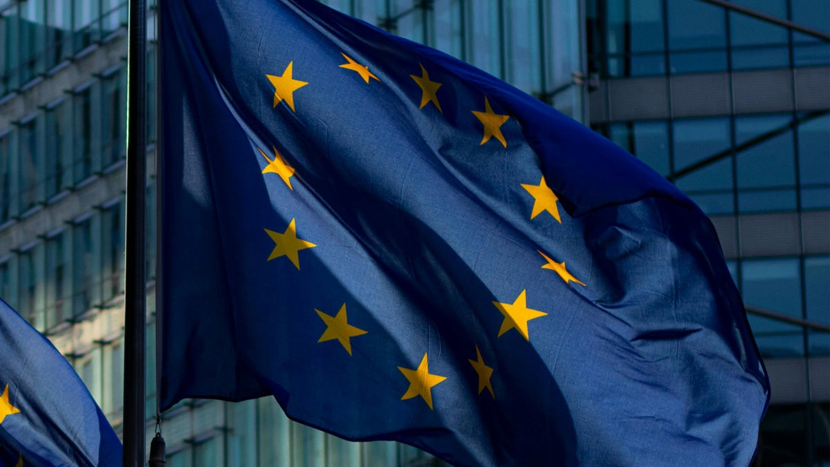 European Flag Hanged by Nine Realms