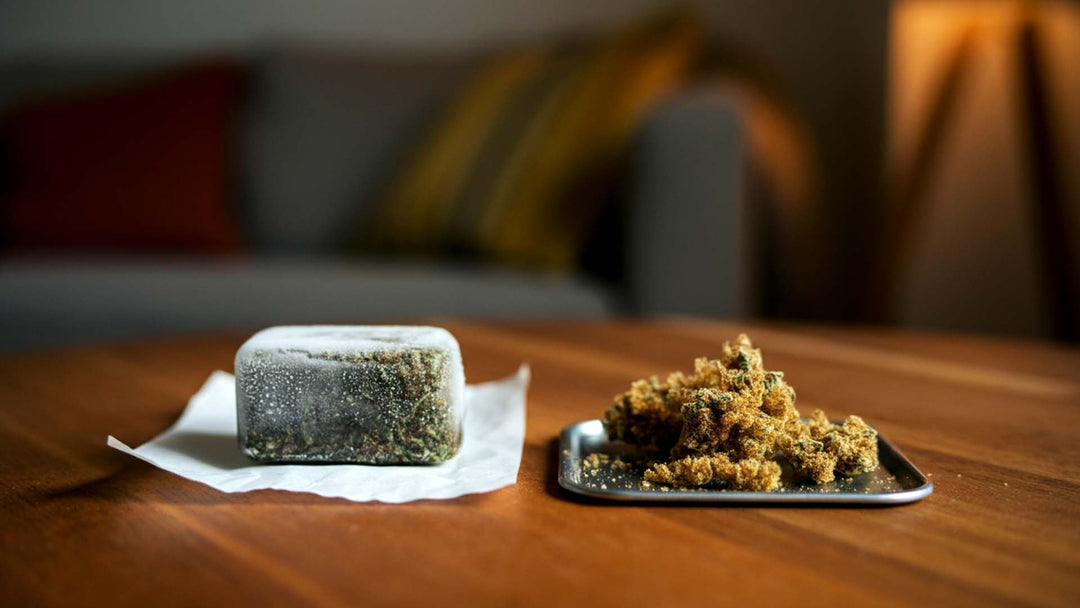 Frozen Hash vs. Dry Bubble Hash: Which Is Right for You?