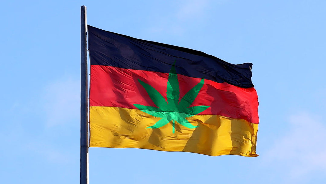 Medical Cannabis Prescription  In Germany: Guide