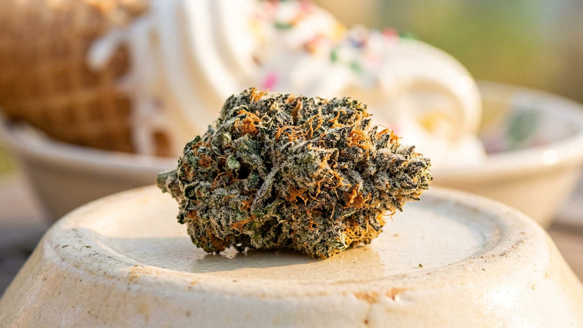 Nine Realms Ice cream cake strain cannabis bud on a plate with ice cream in the background