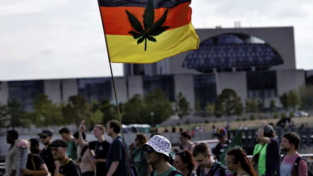 Cannabis Legalisation in Germany