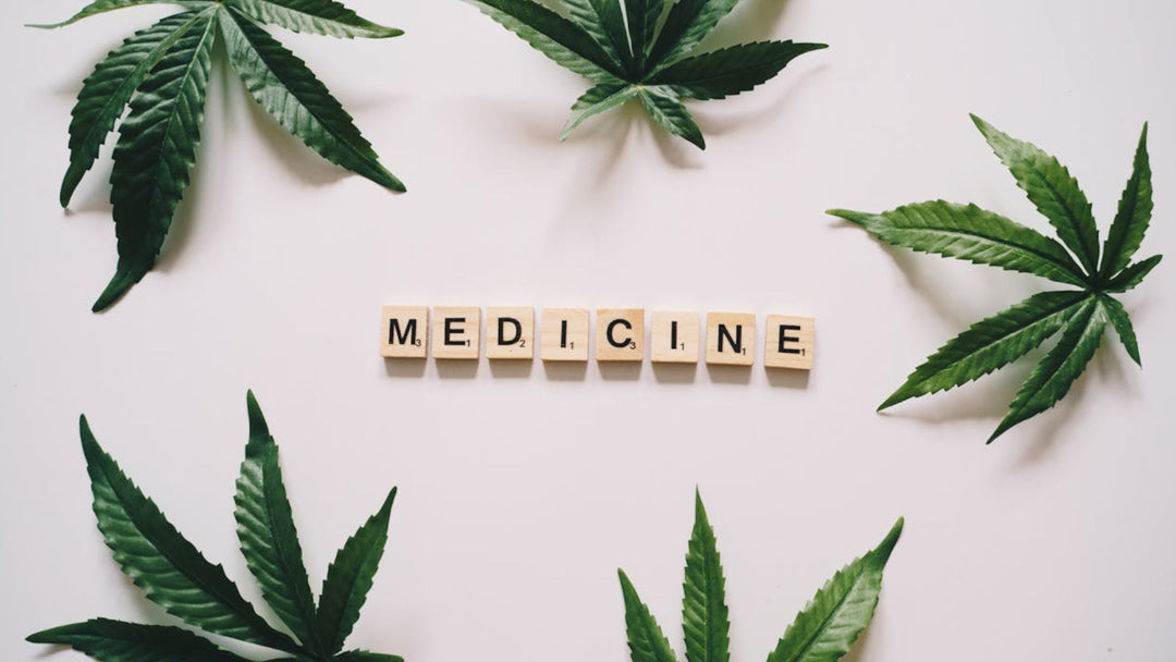 Cannabis Medicine: Potential Benefits And Risks