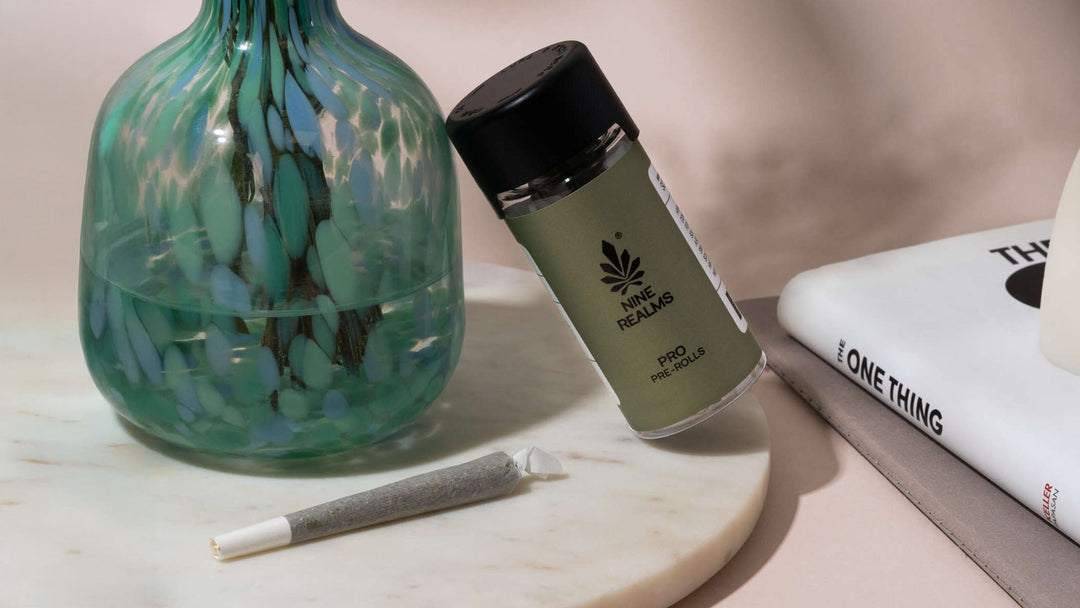 AK 47 Strain: Cannabis Genetics, Effects and Everything In Between