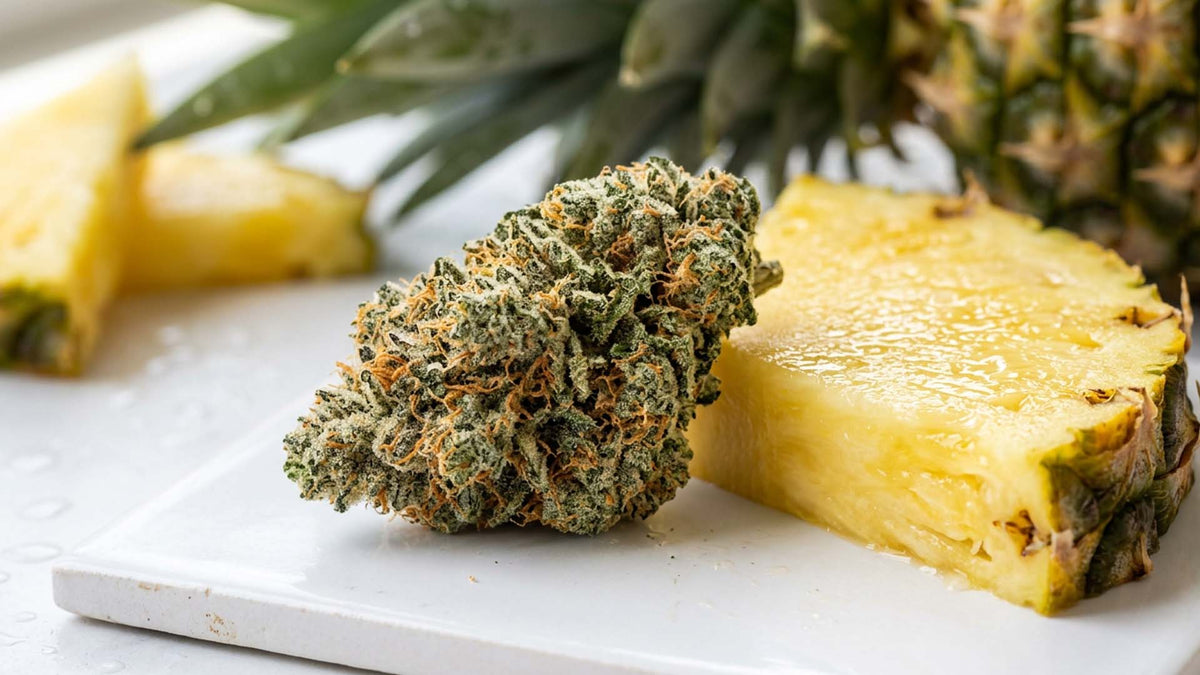 Pineapple Express Strain: Genetics, THC, and Effects