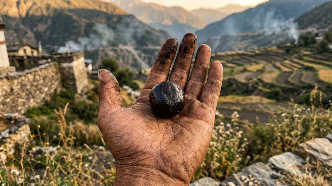 Charas Hash Experience: Ancient Cannabis Tradition Most Don't Know