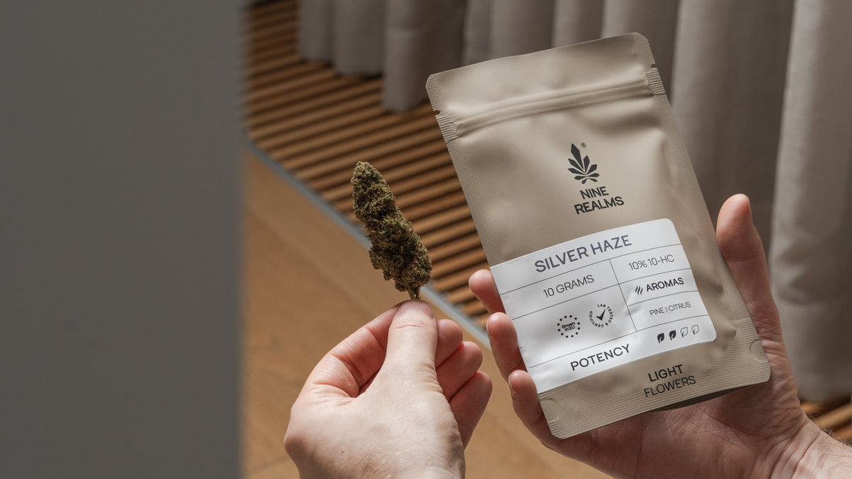 man holding nine realms Silver Haze cannabis flower in his hand