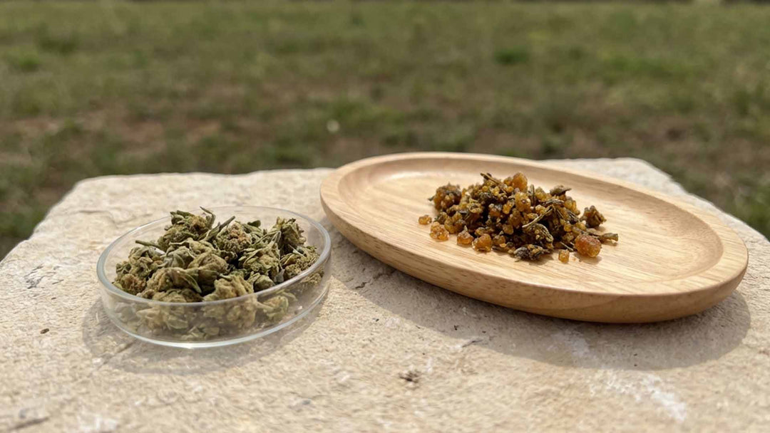 T9HC vs THC: Key Differences