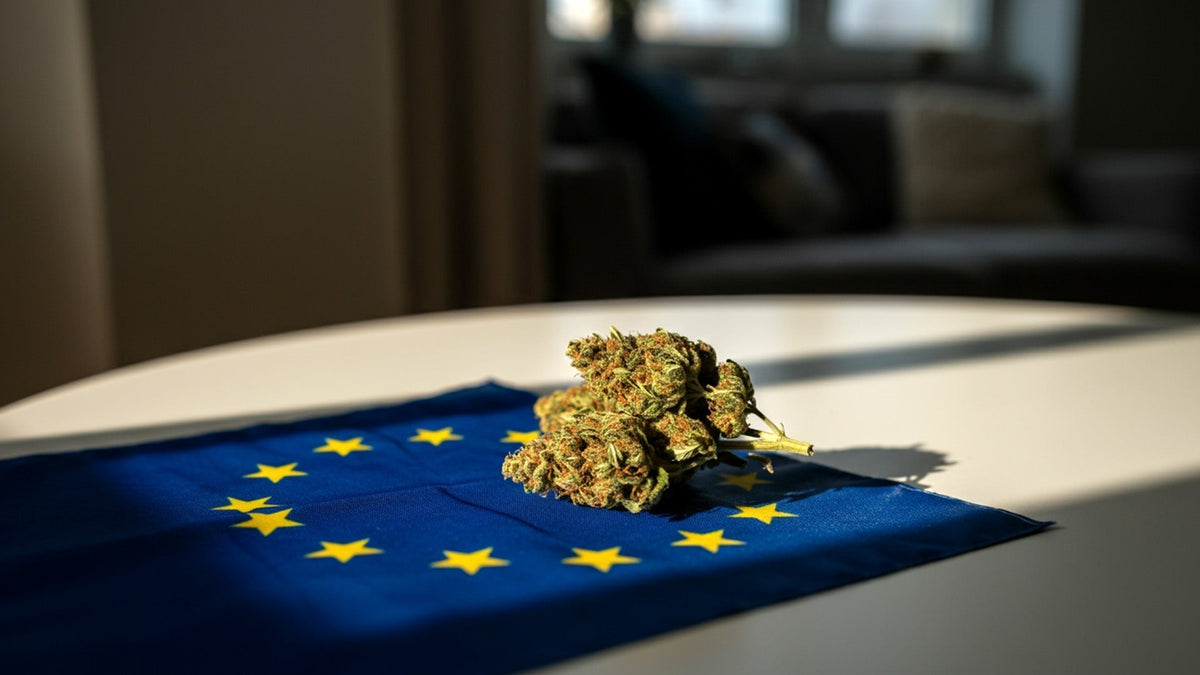 nine realms THC flower on a european union flag