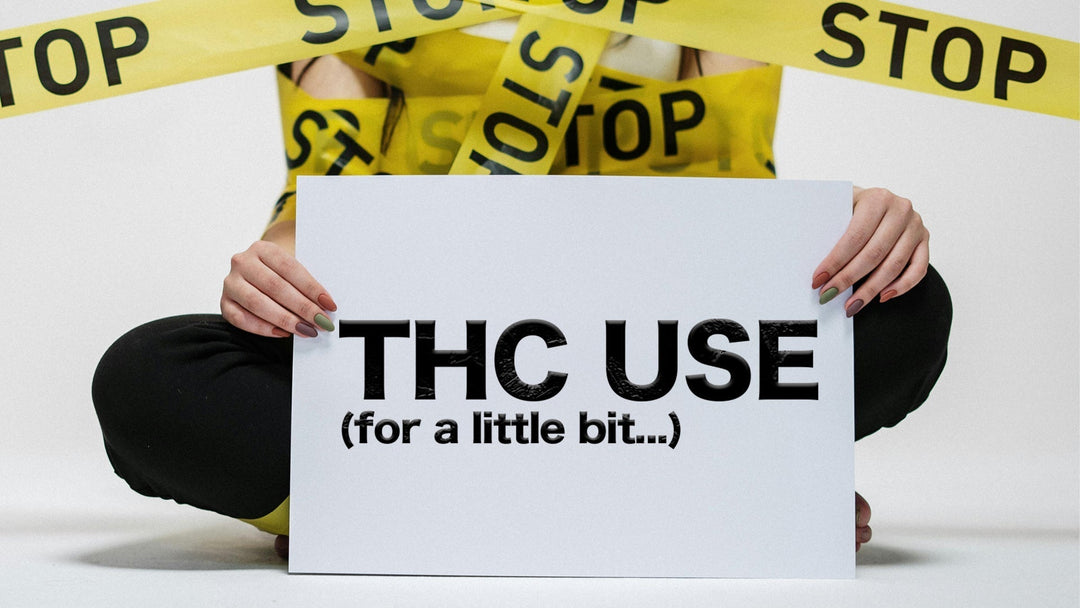 THC Tolerance Break: Guide