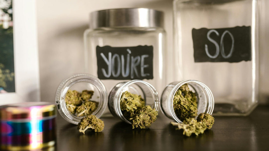 THCA vs THC: Explained