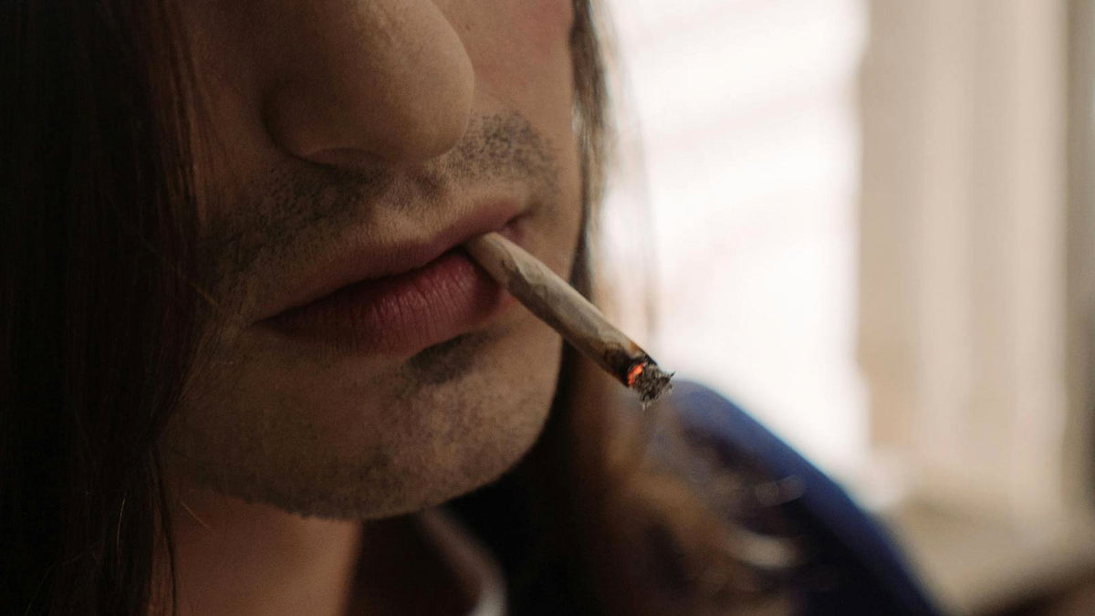tobacco tolerance Nicotine Addiction How to Lower THC Tolerance: