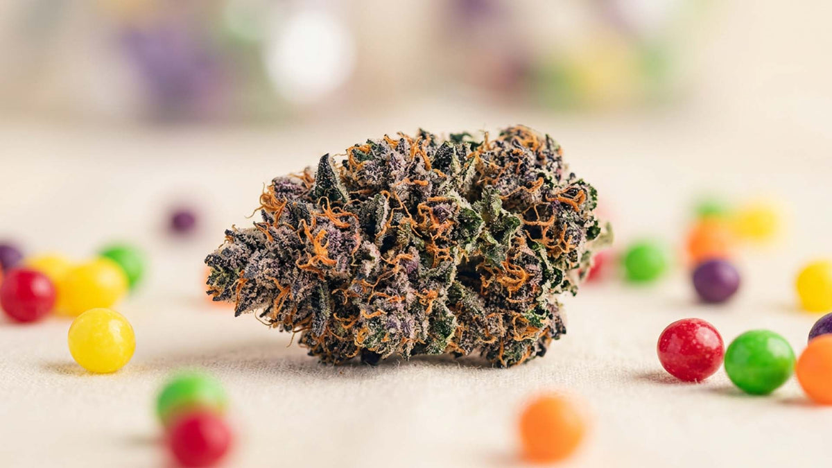 Zkittlez flower buds from Nine Realms surrounded by skittles candy