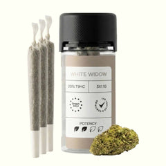 Nine Realms LIGHT Pre Rolls White Widow 3pcs