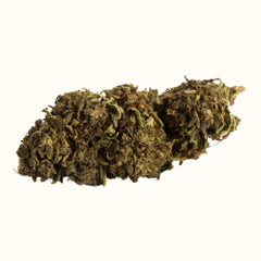 Nine Realms Lemon Cookies cannabis T9HC flower bud