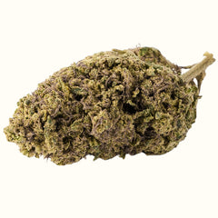 Nine Realms Silver Haze T9HC Flower bud