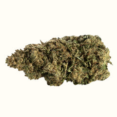 Nine Realms White Widow cannabis T9HC flower bud