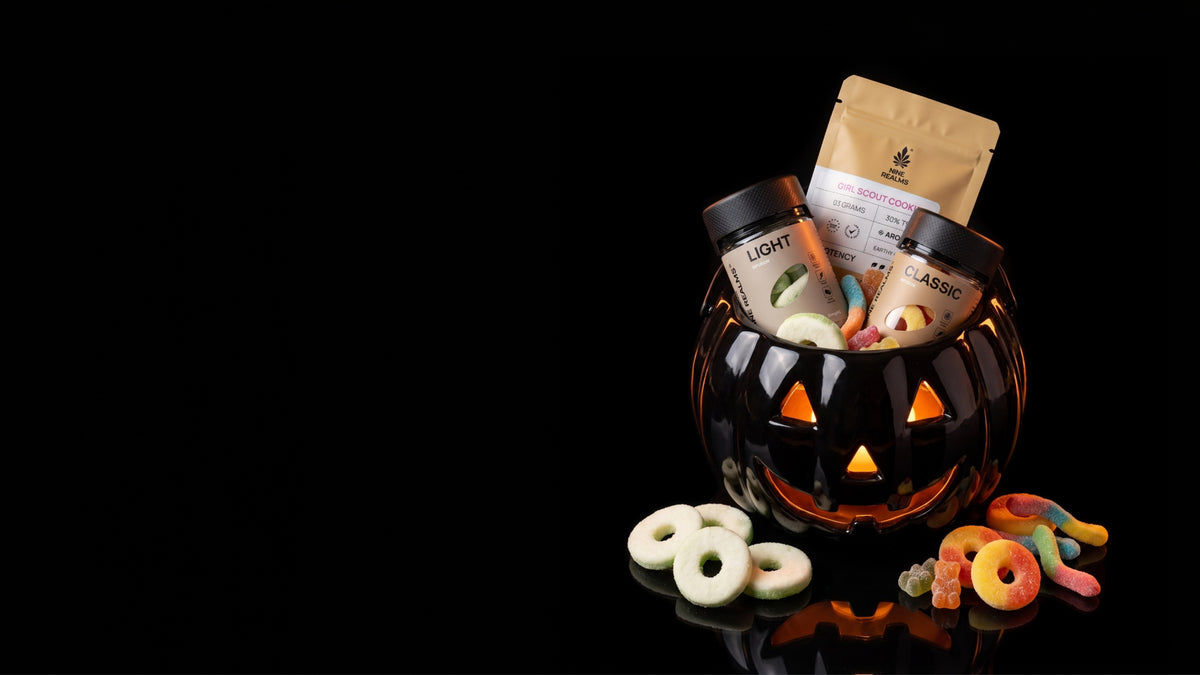 <p>FILL UP YOUR CANDY BUCKET</p>